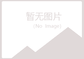 城北区无果采矿有限公司